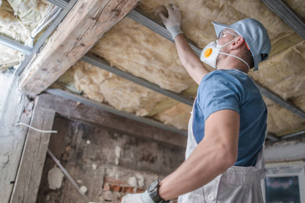 Best Specialty Insulation in Bruceville Eddy, TX