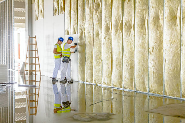 Best Insulation Installation Services in Bruceville Eddy, TX